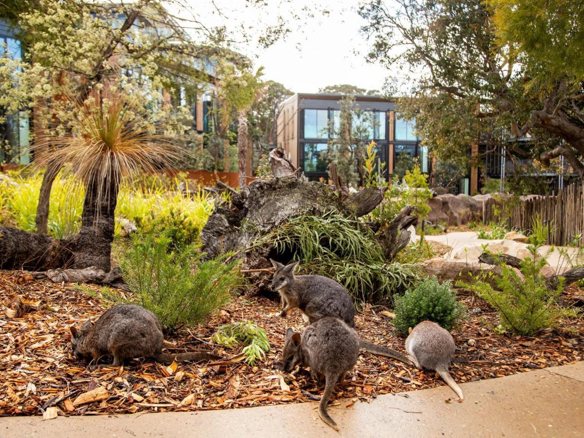 Wildlife Retreat At Taronga Hotel Sydney Exterior photo